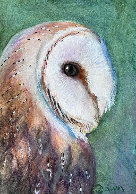 Gentle Wisdom (Barn Owl)