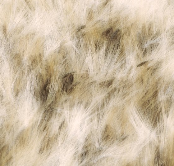 Dancing grains (studio 6)