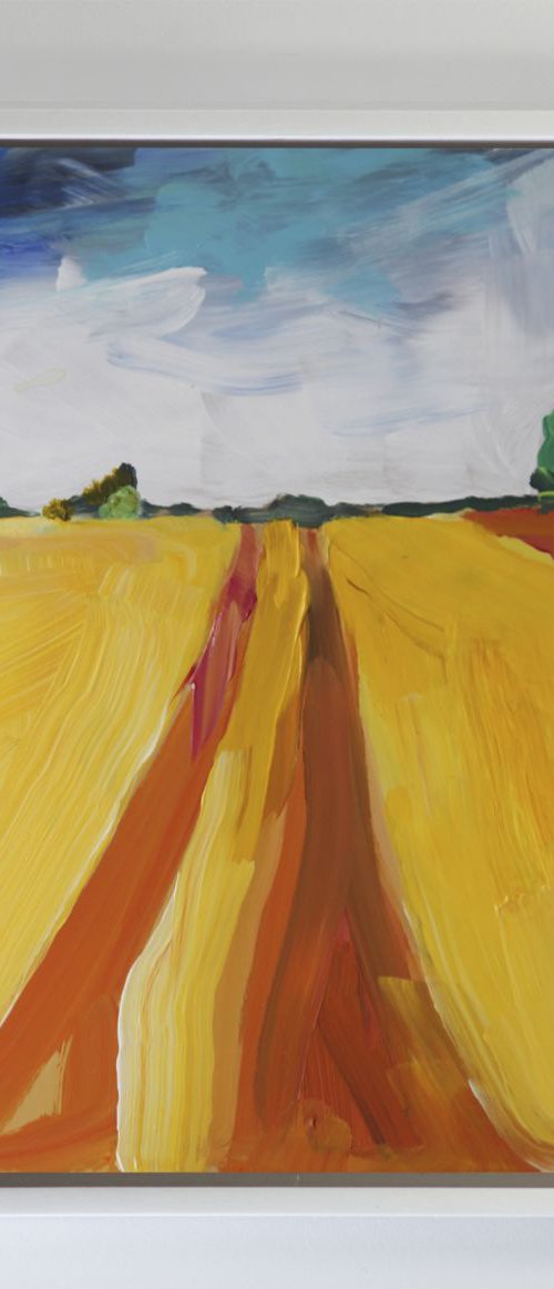 Yellow Field, Northumberland by Paul West