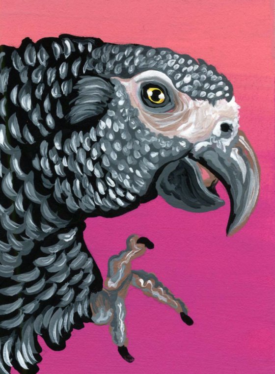 ACEO ATC Original Painting African Grey Gray Parrot Pet Wildlife Art-Carla Smale