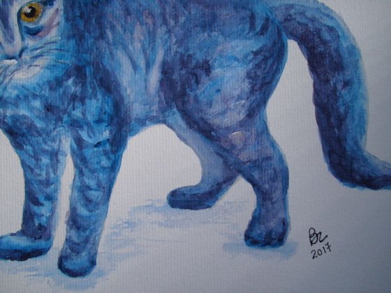 Blue Cat