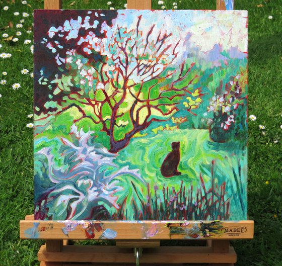 Black Cat , Garden Landscape