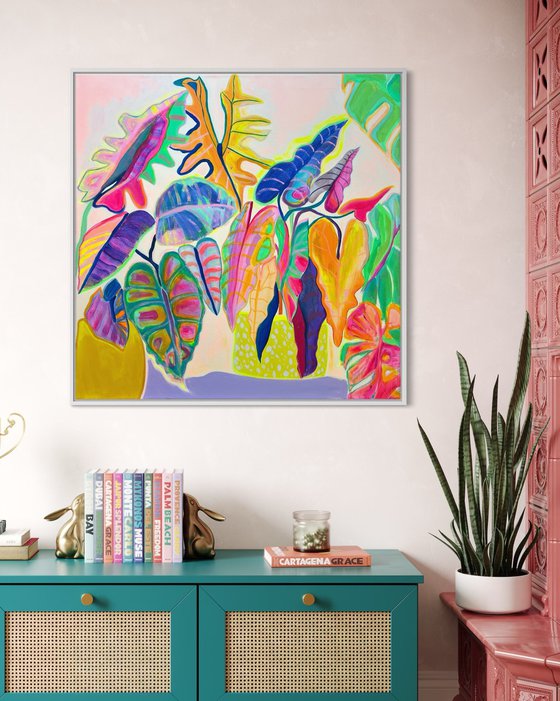'Alocasia Revelation’