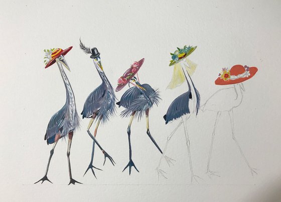 Herons in hats