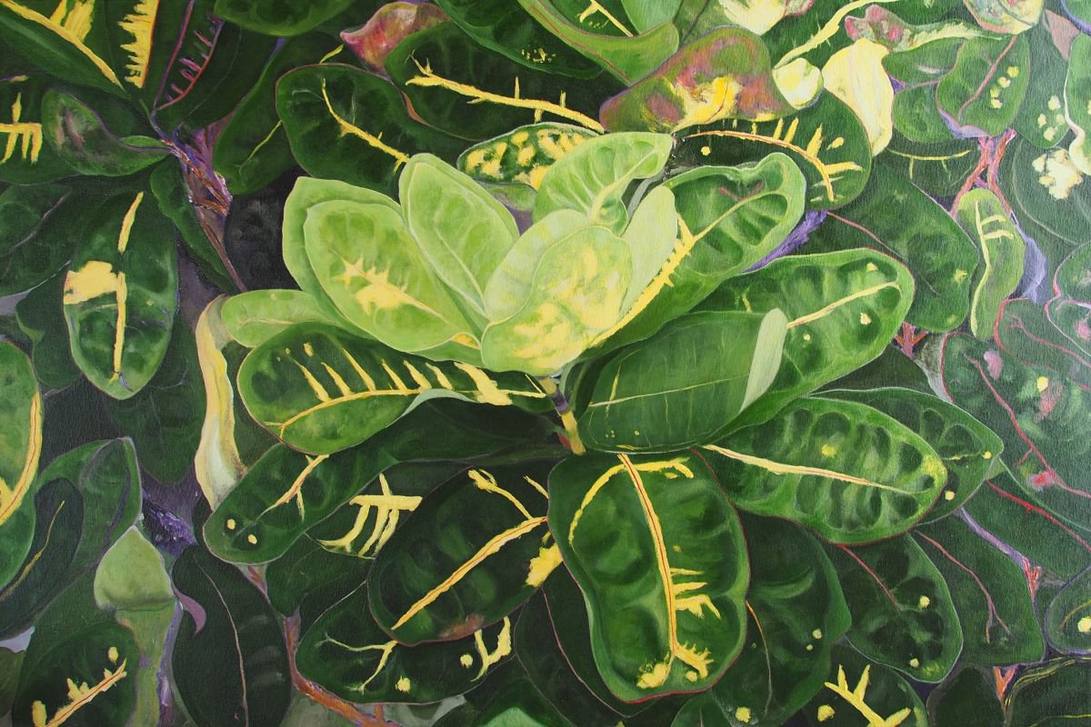 Floral Series 1 By Steven Fleit, 36 X 24, Artwork For Sale On Artfinder