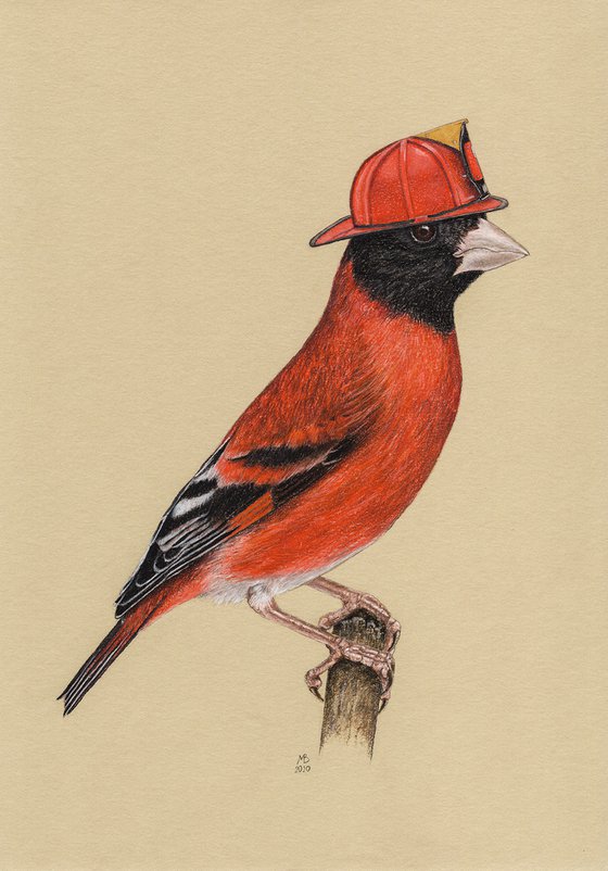 Original pastel drawing bird "Red siskin"