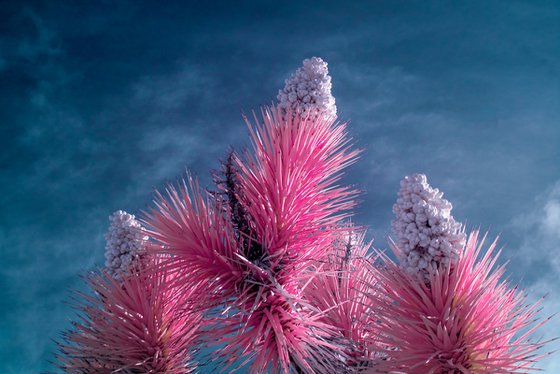 Nothing Here is Meant to Last