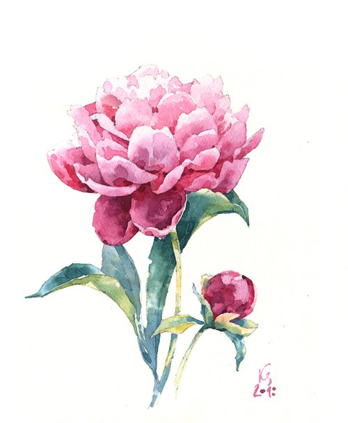 "Scent of a peony flower on a summer evening" original botanical watercolor square format by Ksenia Selianko