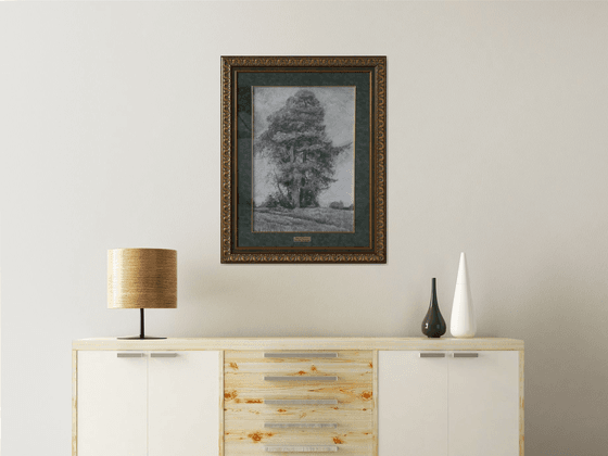 Pine and Spruce