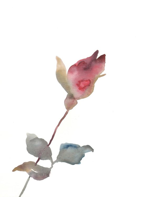 Rose Study No. 26