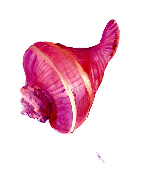 Seashell by Suren Nersisyan