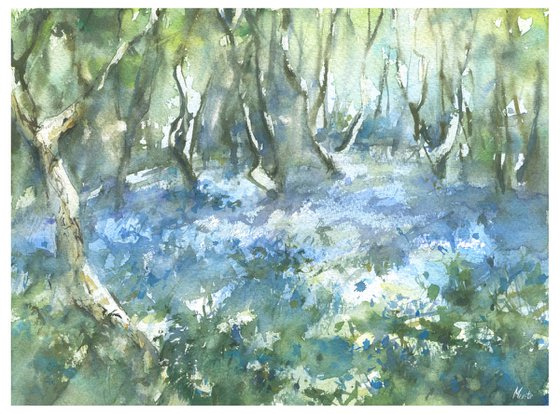 "Bluebells of Sidmouth woods -1"
