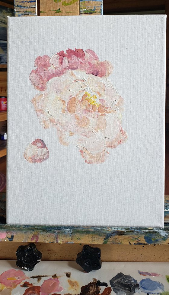 "Song of the Heart" - Flowers - Peony