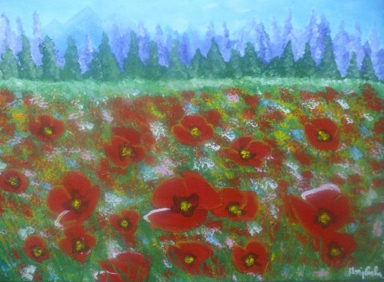 Coquelicots - Poppies, field, floral