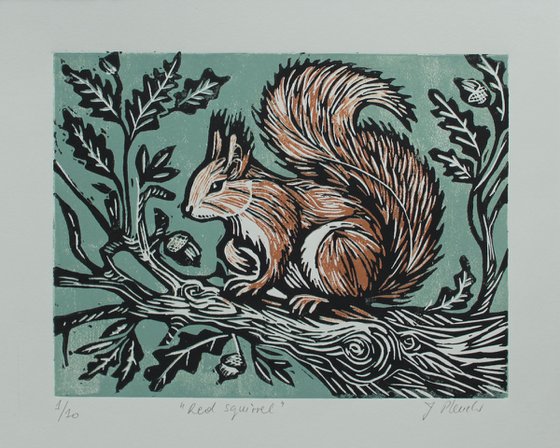 Red squirrel