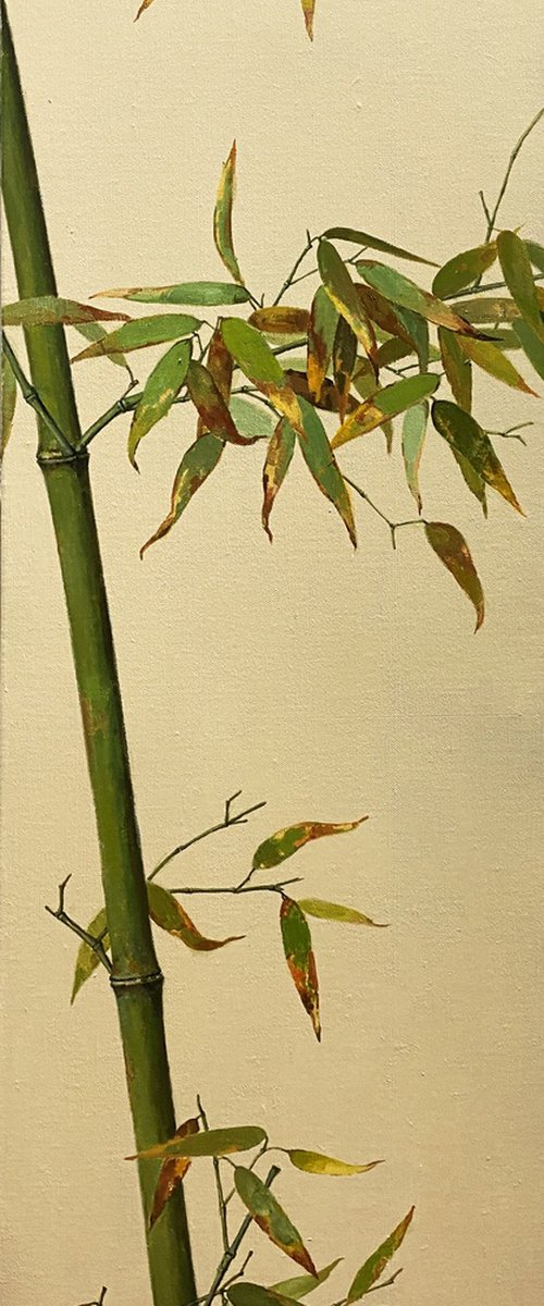 Zen art:Bamboo by Kunlong Wang