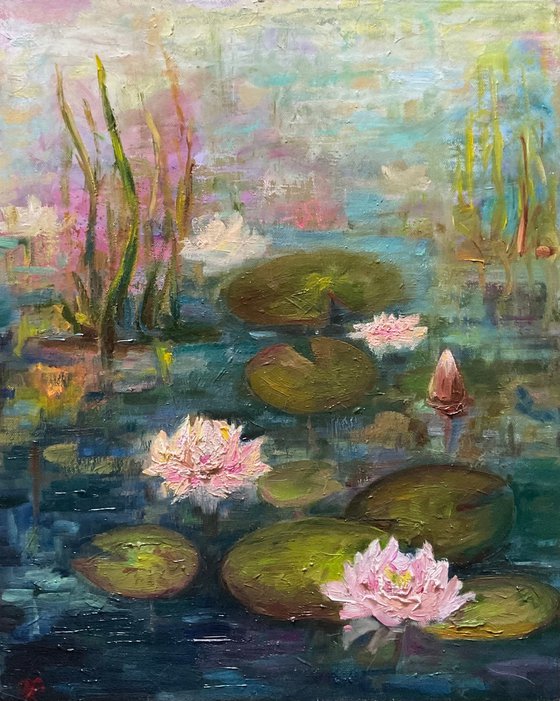 EVENING WATER LILIES