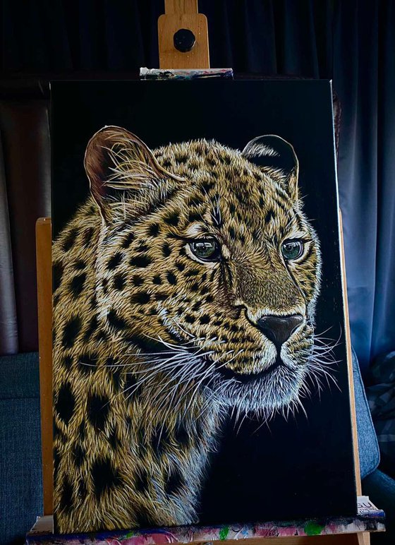 Leopard
