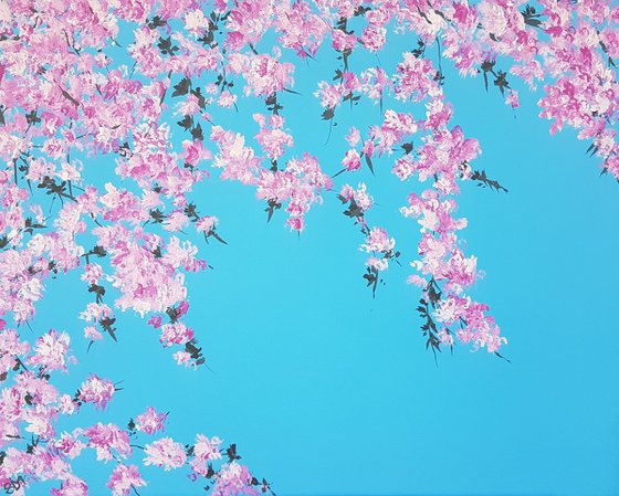 Cherry Blossom