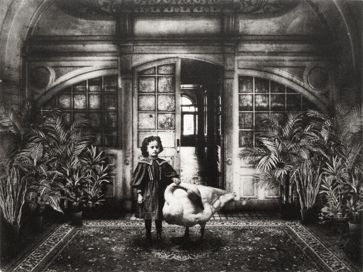 Photorealistic Botanical Etchings & Engravings By Jaco Putker, 13 X 10, Interior No.31, Original Artwork