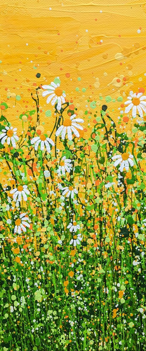 Morning Daisy Delight #6 - Reserved by Lucy Moore
