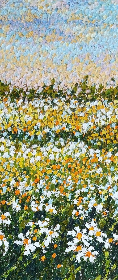 Field in bloom by Angelo Tine'