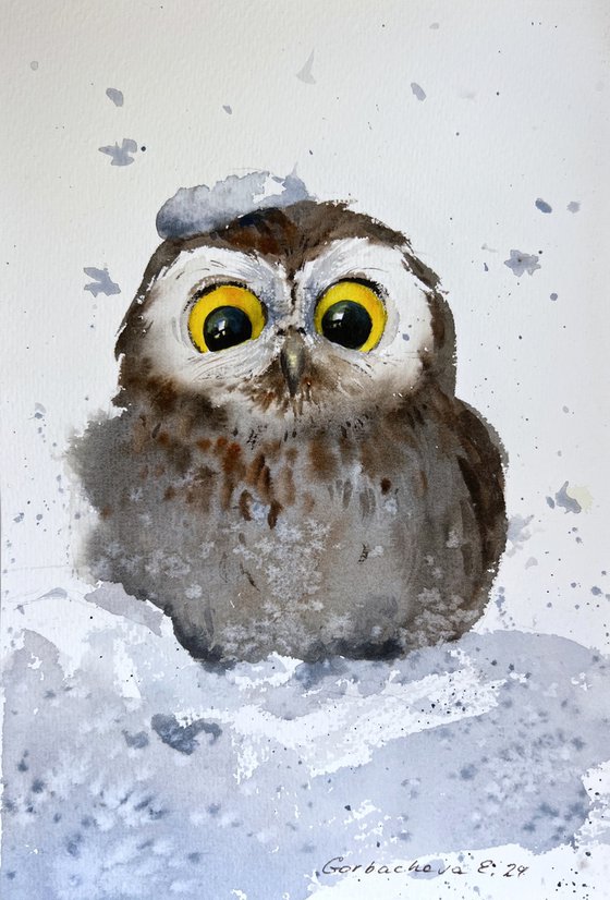 Owlet in a snowdrift #2