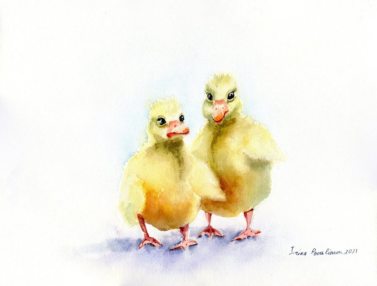 Little ducks original watercolor painting, two yellow ducklins, walking on the road, decor... by Irina Povaliaeva