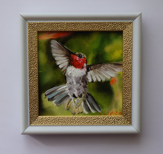 Hummingbird Miniature Art