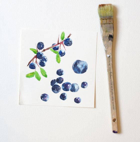 Blueberry study watercolour