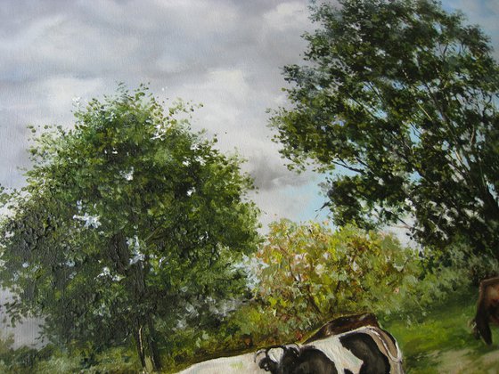 PEACEFUL PASTURE . Cows