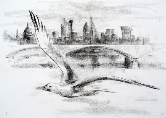 Gull ,Waterloo Bridge