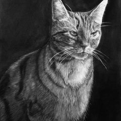 Kerry Rixon