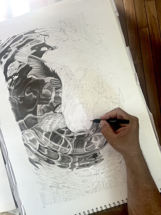 Koi Carp Pencil Drawing III