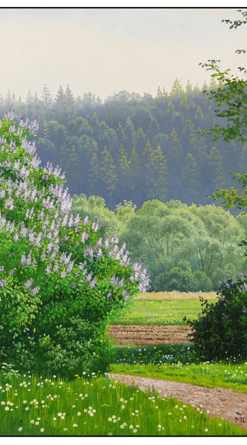 Blooming spring meadow by Mlynarcik Emil