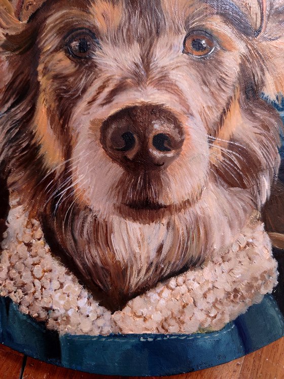 My little friend in flight