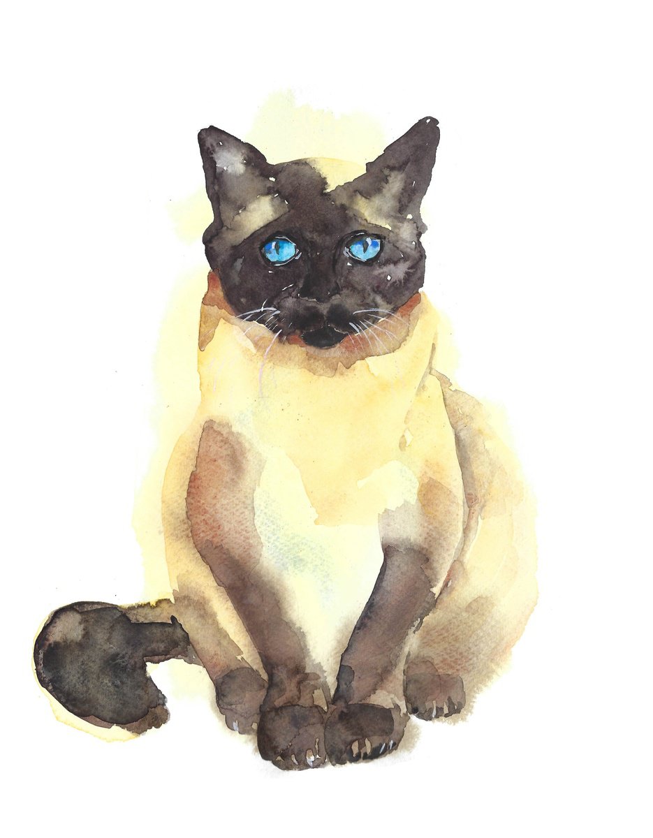 Siamese cat watercolor by Tanya Amos