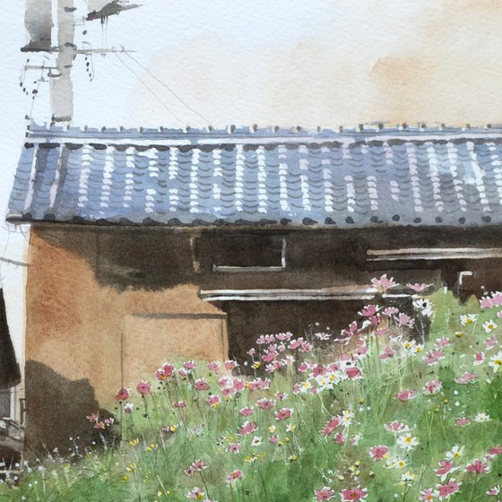 Autumn Cosmos and the Old House