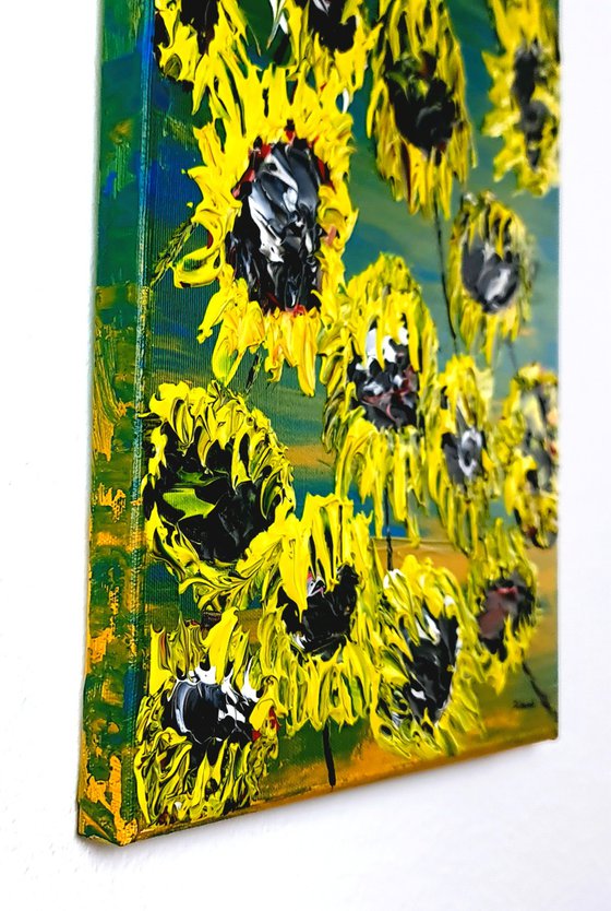 Blooming sunflowers 1