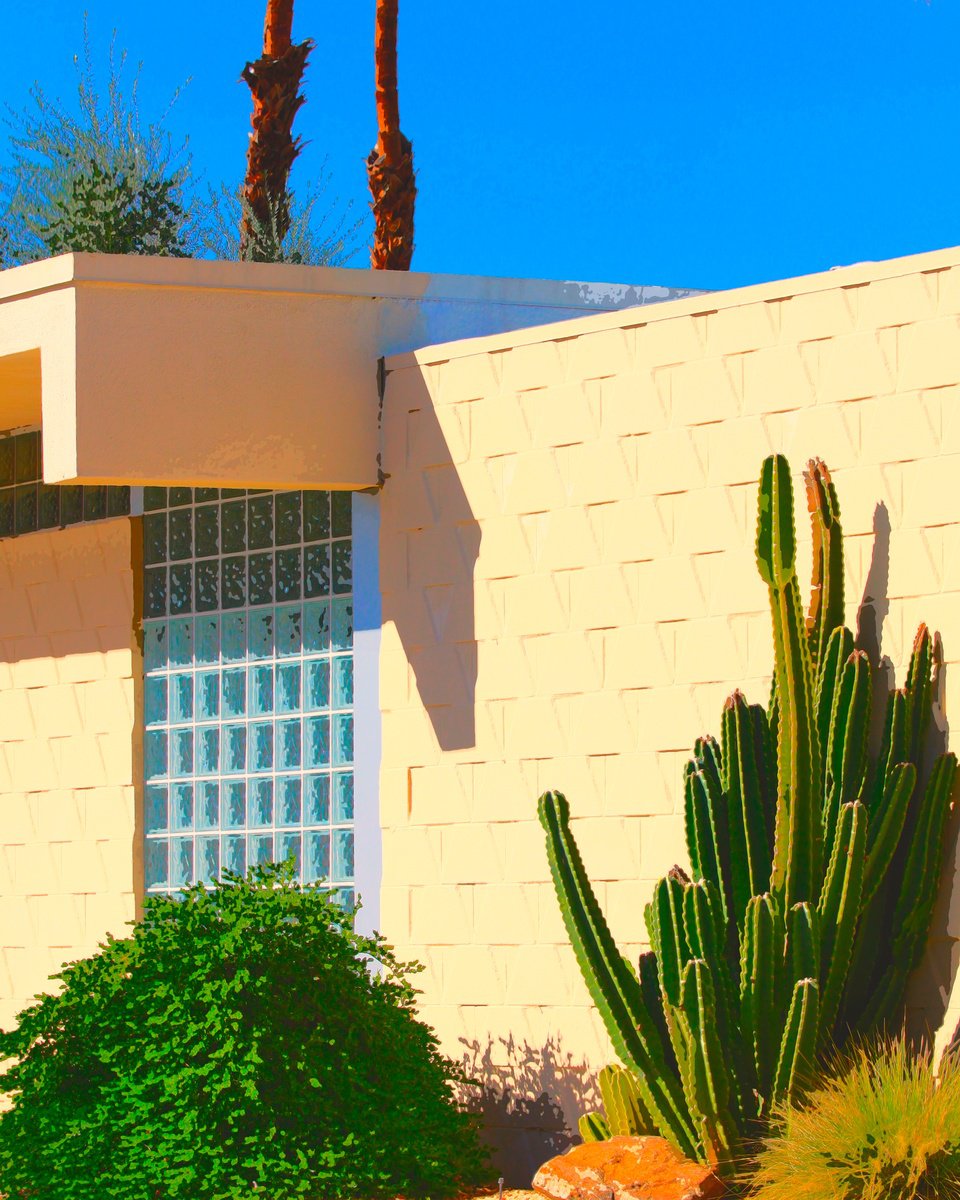 DESERT MODERN Palm Springs CA by William Dey