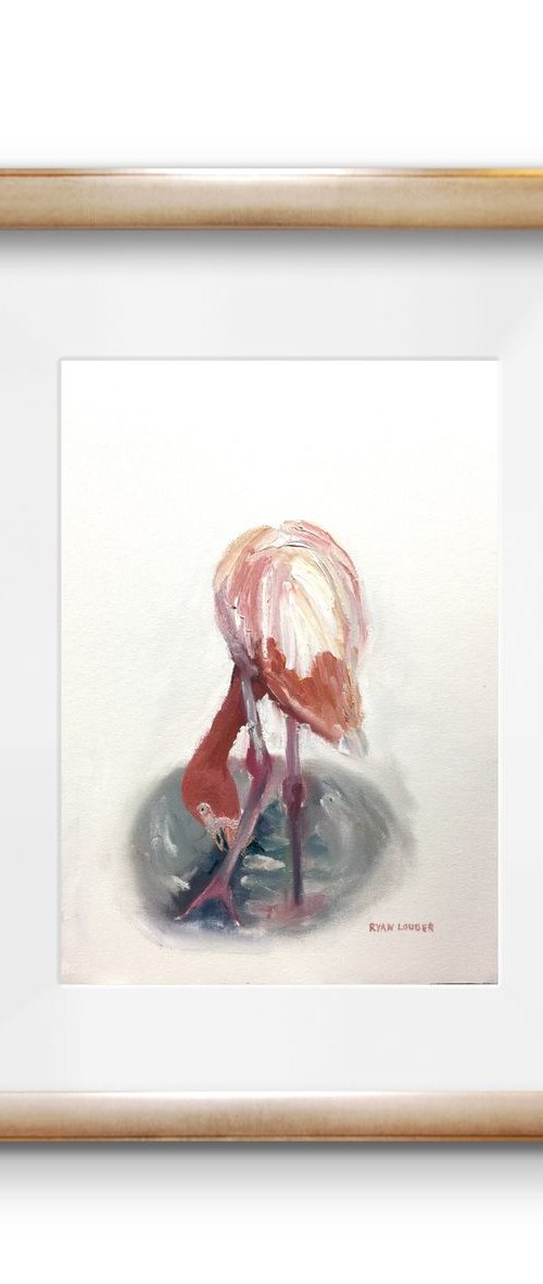 Flamingo by Ryan  Louder