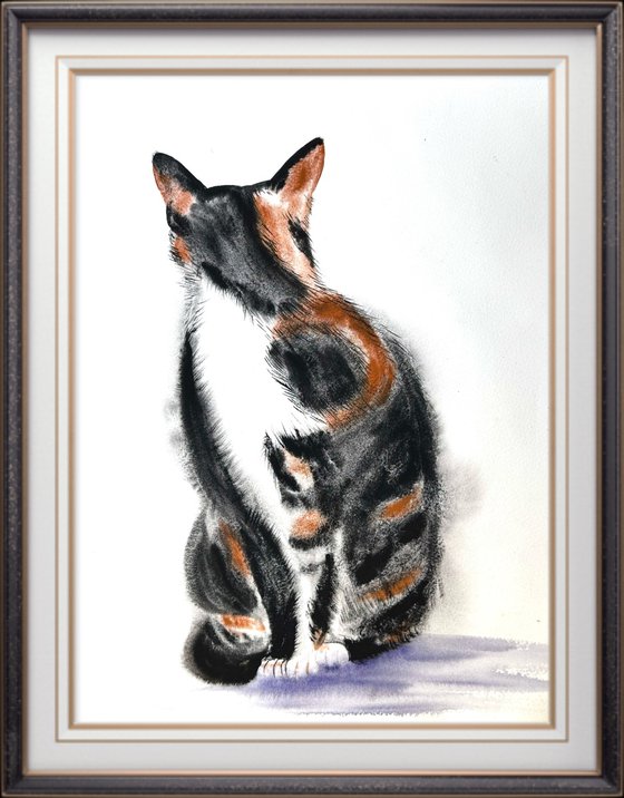 Black White Orange Cat