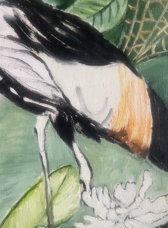 Wader bird