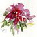 Poinsettia by Alex Tolstoy
