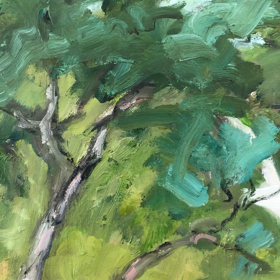 forest valley