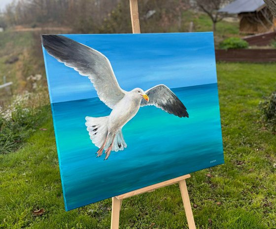 "Seagull"