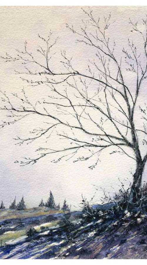 Lone Tree - BRIGHT WINTER MORNING by Neil Wrynne