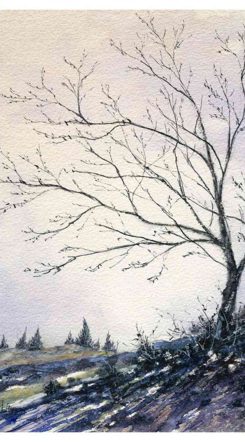 Tree - BRIGHT WINTER MORNING by Neil Wrynne