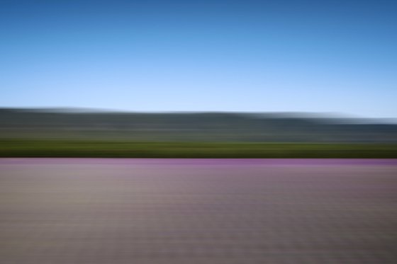 LAVANDER COLOURS