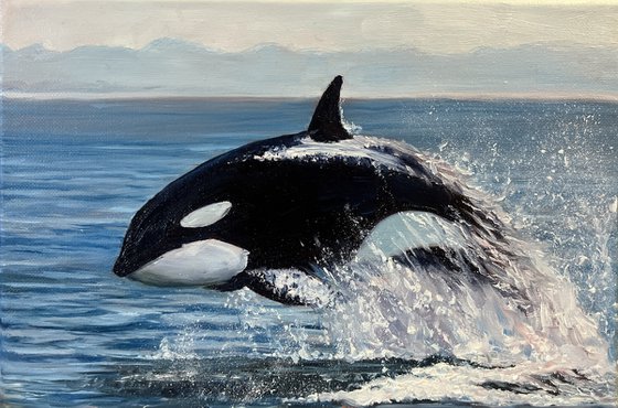 Orca’s Jump